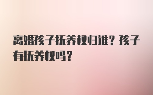 离婚孩子抚养权归谁？孩子有抚养权吗？