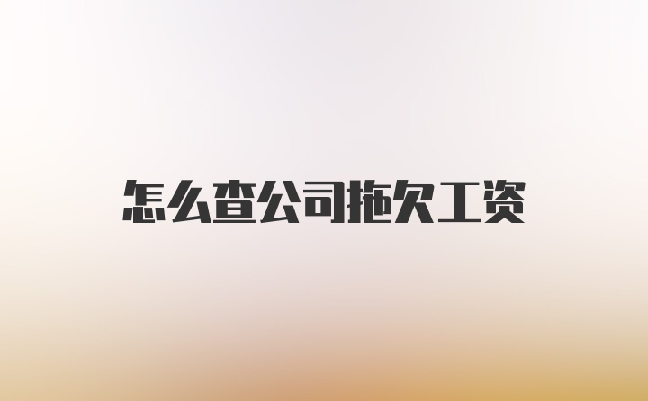 怎么查公司拖欠工资