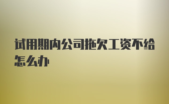 试用期内公司拖欠工资不给怎么办