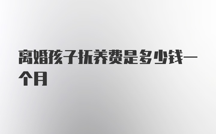 离婚孩子抚养费是多少钱一个月