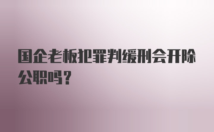 国企老板犯罪判缓刑会开除公职吗？