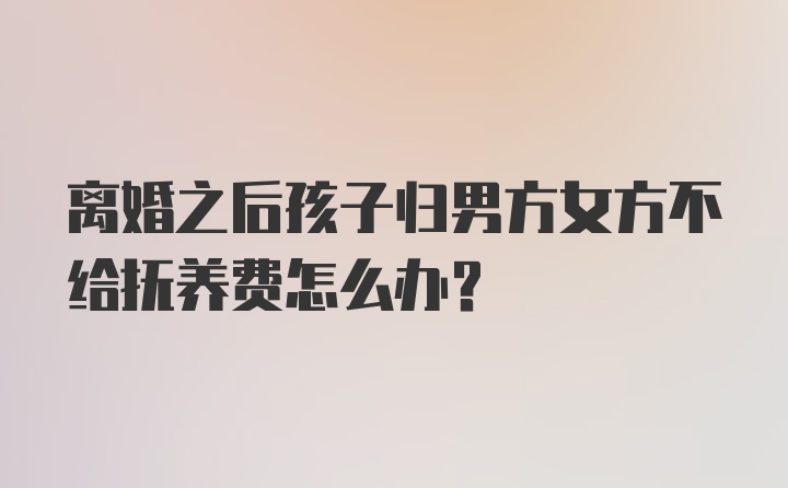 离婚之后孩子归男方女方不给抚养费怎么办？