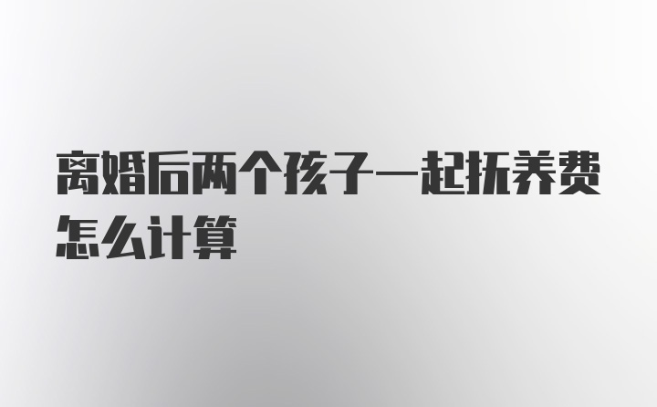 离婚后两个孩子一起抚养费怎么计算