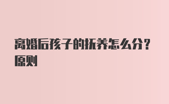 离婚后孩子的抚养怎么分？原则