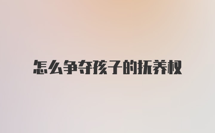 怎么争夺孩子的抚养权