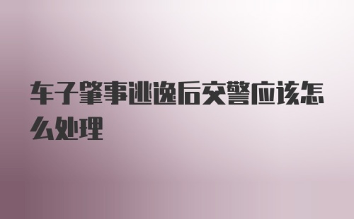 车子肇事逃逸后交警应该怎么处理