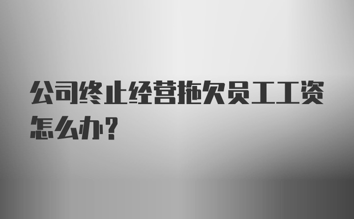 公司终止经营拖欠员工工资怎么办？