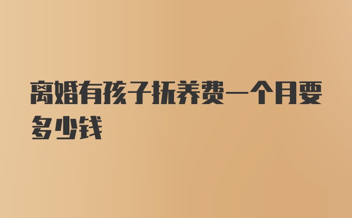 离婚有孩子抚养费一个月要多少钱