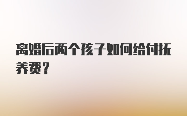 离婚后两个孩子如何给付抚养费？