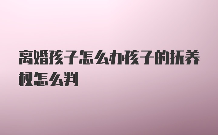 离婚孩子怎么办孩子的抚养权怎么判