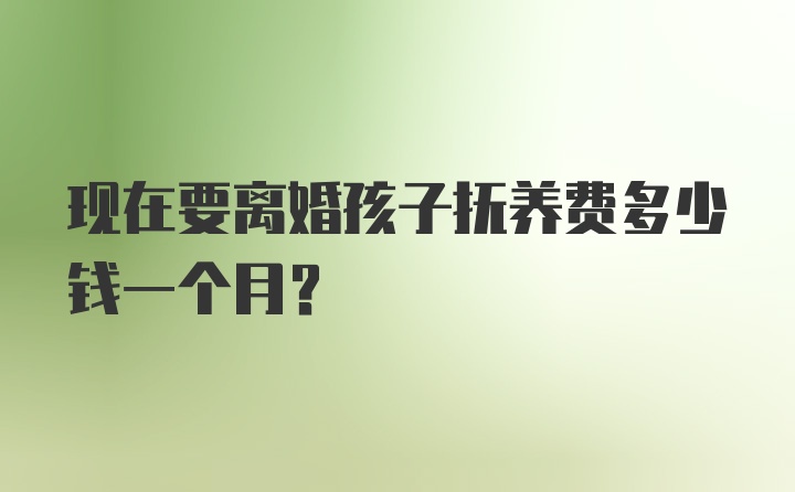 现在要离婚孩子抚养费多少钱一个月?