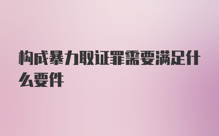 构成暴力取证罪需要满足什么要件