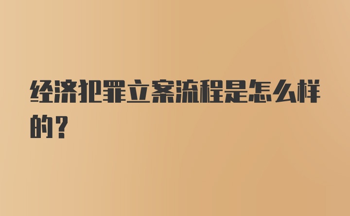 经济犯罪立案流程是怎么样的？