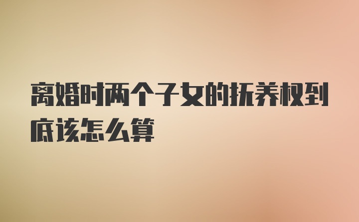 离婚时两个子女的抚养权到底该怎么算