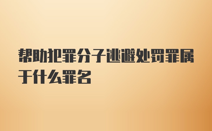 帮助犯罪分子逃避处罚罪属于什么罪名