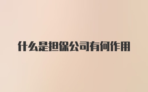 什么是担保公司有何作用