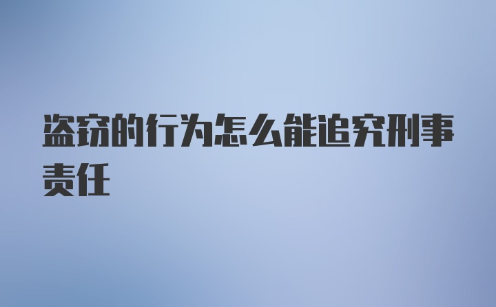 盗窃的行为怎么能追究刑事责任