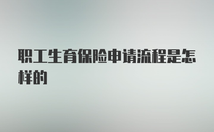 职工生育保险申请流程是怎样的