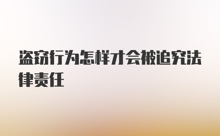 盗窃行为怎样才会被追究法律责任