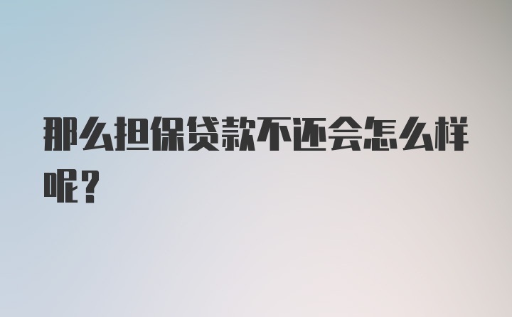 那么担保贷款不还会怎么样呢？