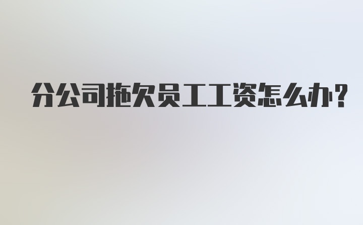 分公司拖欠员工工资怎么办?