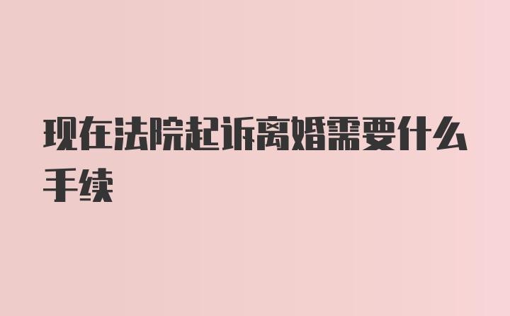 现在法院起诉离婚需要什么手续