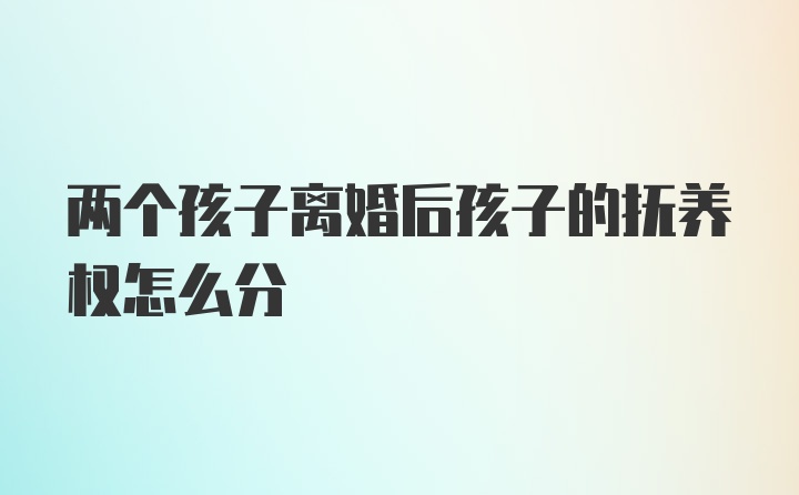 两个孩子离婚后孩子的抚养权怎么分