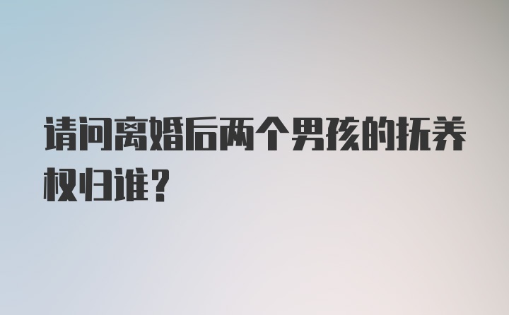 请问离婚后两个男孩的抚养权归谁？