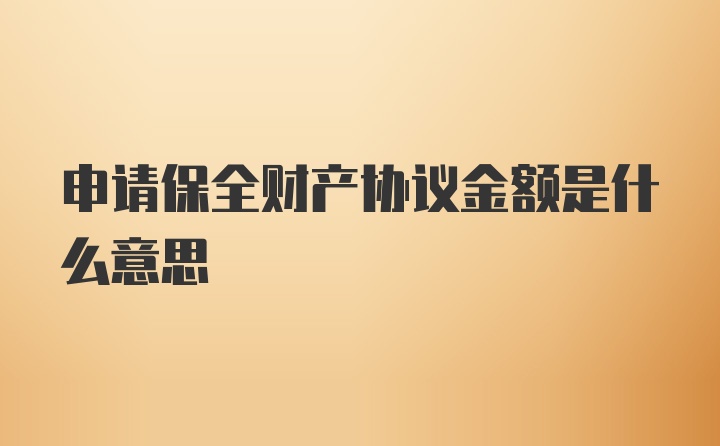 申请保全财产协议金额是什么意思