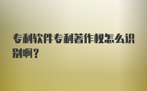 专利软件专利著作权怎么识别啊?