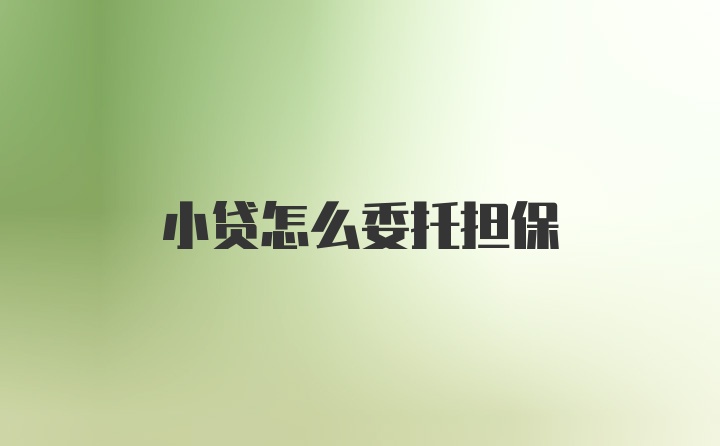 小贷怎么委托担保