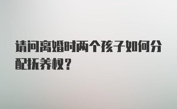 请问离婚时两个孩子如何分配抚养权？