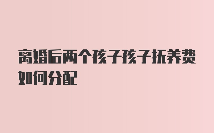 离婚后两个孩子孩子抚养费如何分配