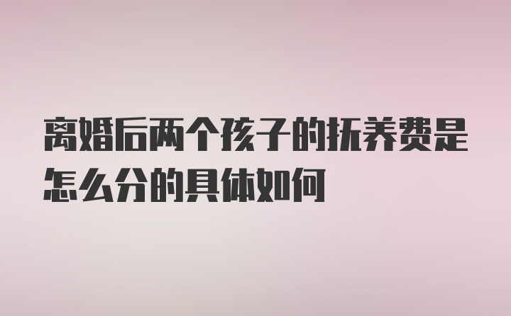 离婚后两个孩子的抚养费是怎么分的具体如何