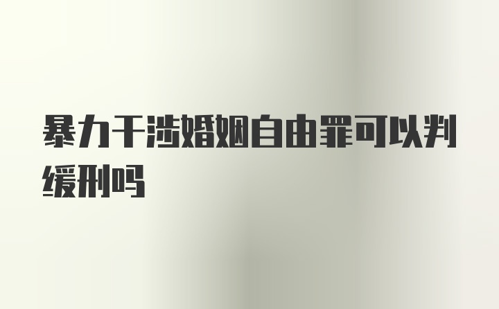 暴力干涉婚姻自由罪可以判缓刑吗