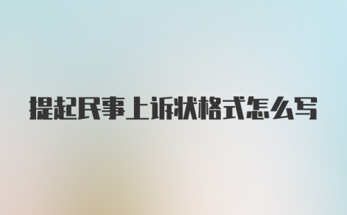 提起民事上诉状格式怎么写