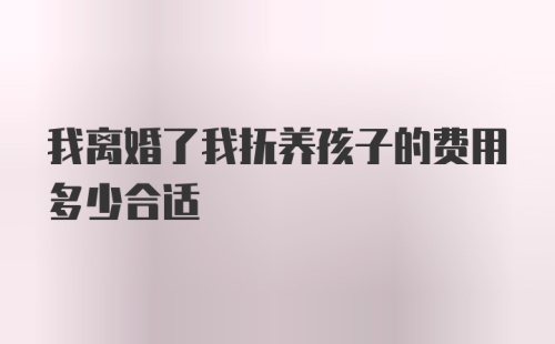 我离婚了我抚养孩子的费用多少合适