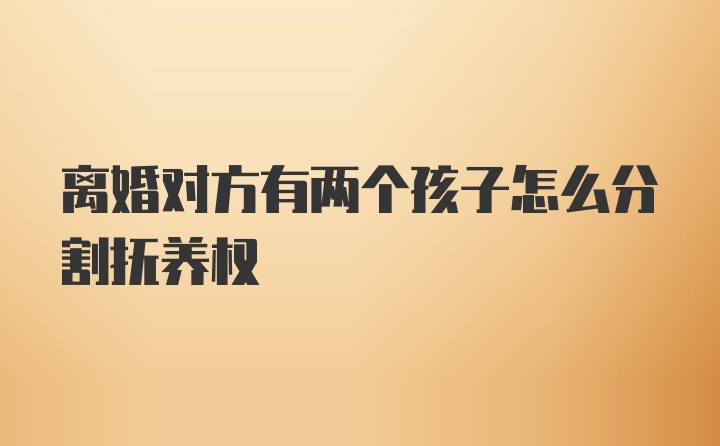 离婚对方有两个孩子怎么分割抚养权