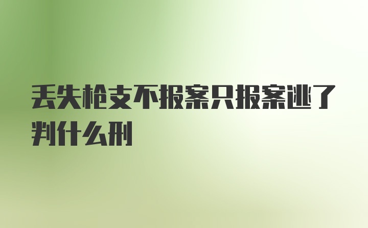 丢失枪支不报案只报案逃了判什么刑