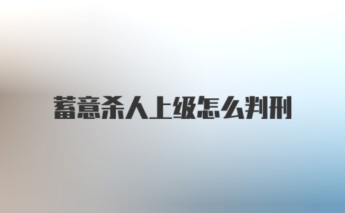 蓄意杀人上级怎么判刑