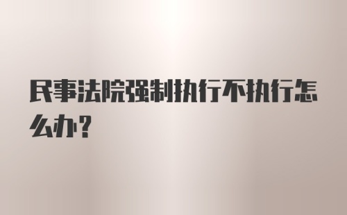 民事法院强制执行不执行怎么办？