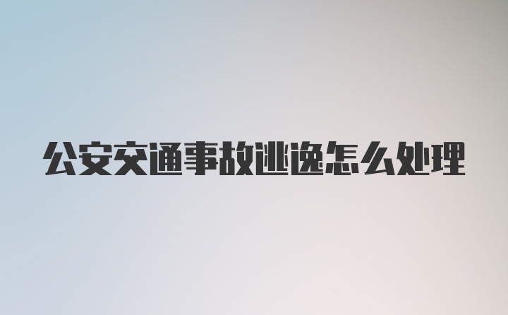 公安交通事故逃逸怎么处理