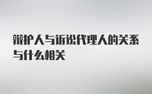 辩护人与诉讼代理人的关系与什么相关