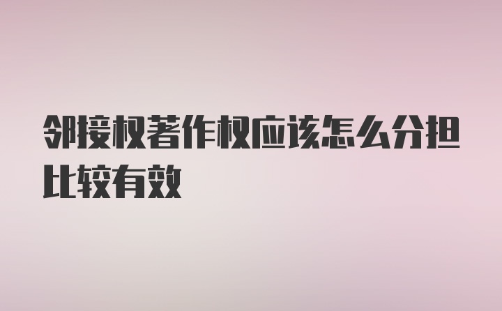 邻接权著作权应该怎么分担比较有效