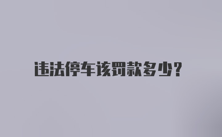 违法停车该罚款多少？