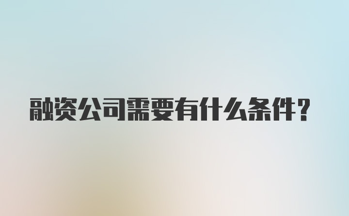 融资公司需要有什么条件？