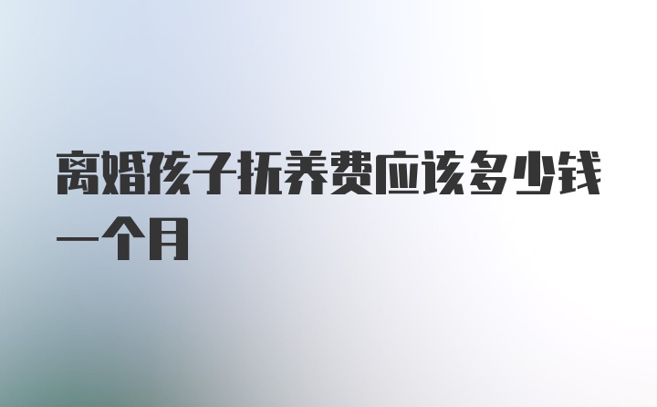 离婚孩子抚养费应该多少钱一个月