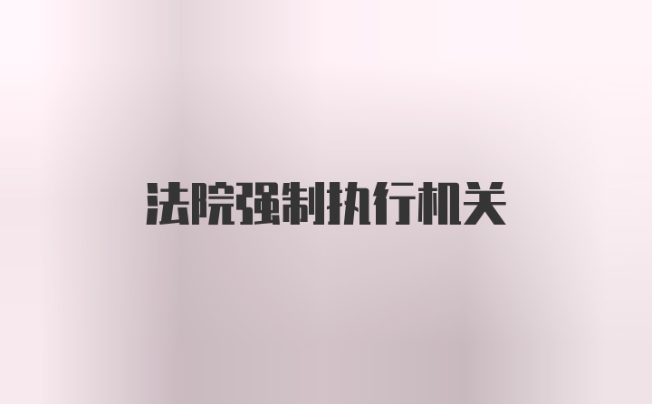 法院强制执行机关