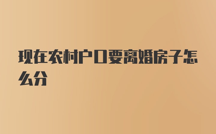 现在农村户口要离婚房子怎么分