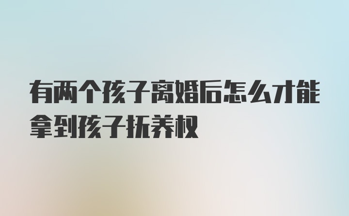 有两个孩子离婚后怎么才能拿到孩子抚养权